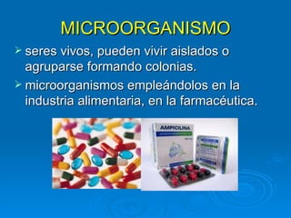 MICROORGANISMO
 seres vivos, pueden vivir aislados o
  agruparse formando colonias.
 microorganismos empleándolos en la
  industria alimentaria, en la farmacéutica.
 