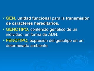  GEN, unidad funcional para la transmisión
  de caracteres hereditarios.
 GENOTIPO, contenido genético de un
  individuo, en forma de ADN.
 FENOTIPO, expresión del genotipo en un
  determinado ambiente
 