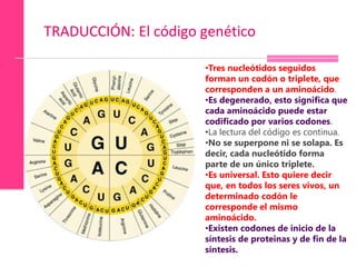 genetica microbiana.Procesos genéticos, como replicacion ...
