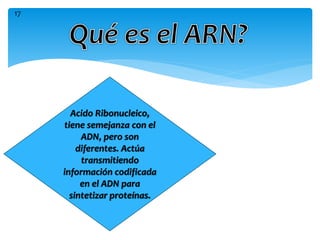 Acido Ribonucleico,
tiene semejanza con el
ADN, pero son
diferentes. Actúa
transmitiendo
información codificada
en el ADN para
sintetizar proteínas.
17
 