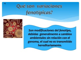 Son modificaciones del fenotipo,
debidas generalmente a cambios
ambientales sin relación con el
genoma, el cual no es transmitido
hereditariamente.
19
 