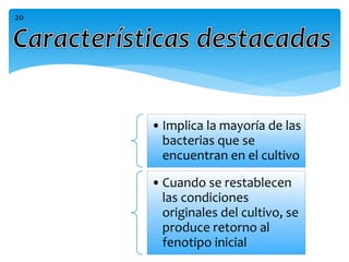 •Implica la mayoría de las
bacterias que se
encuentran en el cultivo
•Cuando se restablecen
las condiciones
originales del cultivo, se
produce retorno al
fenotipo inicial
20
 