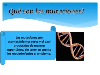 Las mutaciones son
acontecimientos raros y al azar
producidos de manera
espontánea, sin tener en cuenta
los requerimientos el ambiente.
25
 