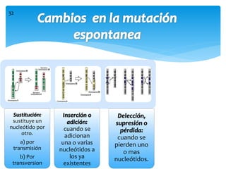 Sustitución:
sustituye un
nucleótido por
otro.
a) por
transmisión
b) Por
transversion
Inserción o
adición:
cuando se
adicionan
una o varias
nucleótidos a
los ya
existentes
Delección,
supresión o
pérdida:
cuando se
pierden uno
o mas
nucleótidos.
32
 