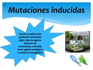 Mutaciones inducidas
Cuando se aplica aun
población bacteriana
algún tipo de agente
inductor de
mutaciones, conocido
como agente mutágeno
o sustancia mutagénica.
34
 