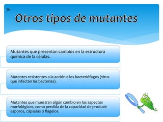 Mutantes que presentan cambios en la estructura
química de la células.
Mutantes resistentes a la acción e los bacteriófagos (virus
que infectan las bacterias).
Mutantes que muestran algún cambio en los aspectos
morfológicos, como perdida de la capacidad de producir
esporos, cápsulas o flagelos.
36
 