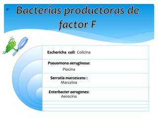 Eschericha coli: Colicina
Pseuomona aeruginosa:
Piocina
Serratia marcescens :
Marceìna
Enterbacter aerogenes:
Aerocina
41
 