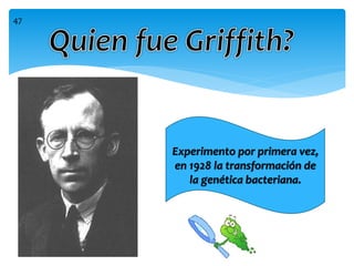Experimento por primera vez,
en 1928 la transformación de
la genética bacteriana.
47
 