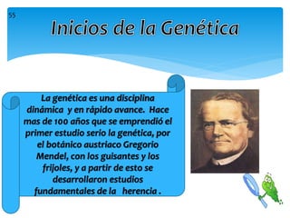 La genética es una disciplina
dinámica y en rápido avance. Hace
mas de 100 años que se emprendió el
primer estudio serio la genética, por
el botánico austriaco Gregorio
Mendel, con los guisantes y los
frijoles, y a partir de esto se
desarrollaron estudios
fundamentales de la herencia .
55
 