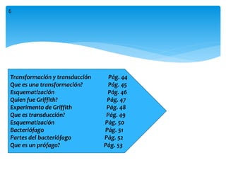 Transformación y transducción Pág. 44
Que es una transformación? Pág. 45
Esquematización Pág. 46
Quien fue Griffith? Pág. 47
Experimento de Griffith Pág. 48
Que es transducción? Pág. 49
Esquematización Pág. 50
Bacteriófago Pág. 51
Partes del bacteriófago Pág. 52
Que es un prófago? Pág. 53
6
 