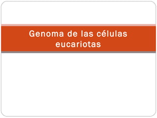 Genoma de las células
eucariotas
 