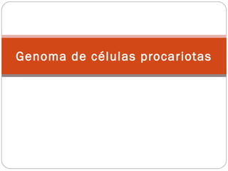 Genoma de células procariotas
 