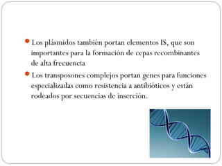 Los plásmidos también portan elementos IS, que son
importantes para la formación de cepas recombinantes
de alta frecuencia
Los transposones complejos portan genes para funciones
especializadas como resistencia a antibióticos y están
rodeados por secuencias de inserción.
 