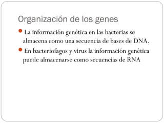 Organización de los genes
La información genética en las bacterias se
almacena como una secuencia de bases de DNA.
En bacteriofagos y virus la información genética
puede almacenarse como secuencias de RNA
 