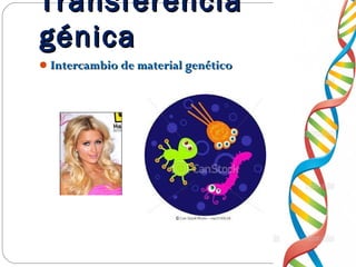 Intercambio de material genéticoIntercambio de material genético
TransferenciaTransferencia
génicagénica
 