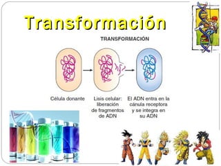 TransformaciónTransformación
 