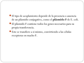 El tipo de acoplamiento depende de la presencia o ausencia
de un plásmido conjugativo, como el plásmido F de E. coli.
El plásmido F contiene todos los genes necesarios para su
propia transferencia.
Este se transfiere a si mismo, convirtiendo a las células
receptoras en macho F.
 
