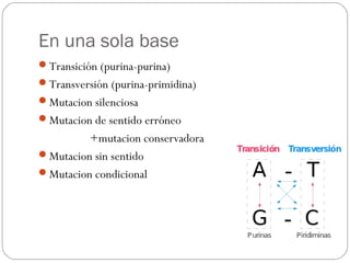 En una sola base
Transición (purina-purina)
Transversión (purina-primidina)
Mutacion silenciosa
Mutacion de sentido erróneo
+mutacion conservadora
Mutacion sin sentido
Mutacion condicional
 