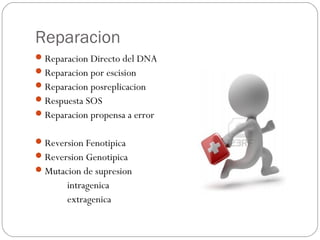 Reparacion
Reparacion Directo del DNA
Reparacion por escision
Reparacion posreplicacion
Respuesta SOS
Reparacion propensa a error
Reversion Fenotipica
Reversion Genotipica
Mutacion de supresion
intragenica
extragenica
 