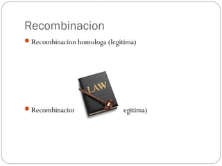 Recombinacion
Recombinacion homologa (legitima)
Recombinacion no homologa (ilegitima)
 