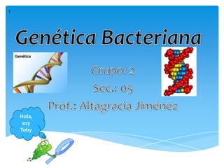 1 Genética Bacteriana  Grupo: 2 Sec.: 05 Prof.: Altagracia Jiménez  Hola, soy Toby 