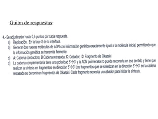 Guión de respuestas : 