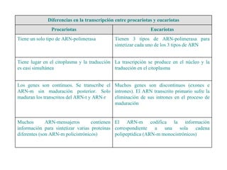 El ARN-m codifica la información correspondiente a una sola cadena polipeptídica (ARN-m monocistrónicos) Muchos ARN-mensajeros contienen información para sintetizar varias proteínas diferentes (son ARN-m policistrónicos) Muchos genes son discontinuos (exones e intrones). El ARN transcrito primario sufre la eliminación de sus intrones en el proceso de maduración Los genes son continuos. Se transcribe el ARN-m sin maduración posterior. Solo maduran los transcritos del ARN-t y ARN-r La trascripción se produce en el núcleo y la traducción en el citoplasma Tiene lugar en el citoplasma y la traducción es casi simultánea Tienen 3 tipos de ARN-polimerasa para sintetizar cada uno de los 3 tipos de ARN  Tiene un solo tipo de ARN-polimerasa Eucariotas Procariotas Diferencias en la transcripción entre procariotas y eucariotas 