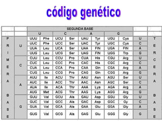 código genético 