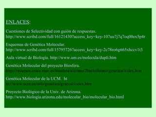 ENLACES : Cuestiones de Selectividad con guión de respuestas.   http://www.scribd.com/full/16121430?access_key=key-107uu7j7q7oq00ex5p4r   Esquemas de Genética Molecular.   http://www.scribd.com/full/15795726?access_key=key-2c78ro6gtt65xhccv1t3   Aula virtual de Biología.   http://www.um.es/molecula/dupli.htm   Genética Molecular del proyecto Biosfera.  http://recursos.cnice.mec.es/biosfera/alumno/2bachillerato/genetica/index.htm   Genética Molecular de la UCM.   ht tp://www.ucm.es/info/genetica/grupod/index.htm   Proyecto Biológico de la Univ. de Arizona.  http://www.biologia.arizona.edu/molecular_bio/molecular_bio.html   
