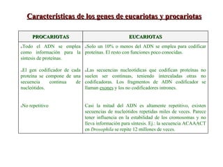 Solo un 10% o menos del ADN se emplea para codificar proteínas. El resto con funciones poco conocidas. Las secuencias nucleotídicas que codifican proteínas no suelen ser continuas, teniendo intercaladas otras no codificadoras. Los fragmentos de ADN codificador se llaman  exones  y los no codificadores intrones. Casi la mitad del ADN es altamente repetitivo, existen secuencias de nucleótidos repetidas miles de veces. Parece tener influencia en la estabilidad de los cromosomas y no lleva información para síntesis. Ej.: la secuencia ACAAACT en  Drosophila  se repite 12 millones de veces. Todo el ADN se emplea como información para la síntesis de proteínas.  El gen codificador de cada proteína se compone de una secuencia continua de nucleótidos.  No repetitivo EUCARIOTAS PROCARIOTAS Características de los genes de eucariotas y procariotas 