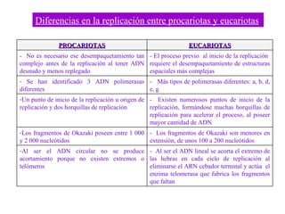 -  Al ser el ADN lineal se acorta el extremo de las hebras en cada ciclo de replicación al eliminarse el ARN cebador terminal y actúa  el enzima telomerasa que fabrica los fragmentos que faltan  Al ser el ADN circular no se produce acortamiento porque no existen extremos o telómeros -  Los fragmentos de Okazaki son menores en extensión, de unos 100 a 200 nucleótidos  Los fragmentos de Okazaki poseen entre 1 000 y 2 000 nucleótidos -  Existen numerosos puntos de inicio de la replicación, formándose muchas horquillas de replicación para acelerar el proceso, al poseer mayor cantidad de ADN  Un punto de inicio de la replicación u origen de replicación y dos horquillas de replicación -  Más tipos de polimerasas diferentes: a, b, d, e, g Se han identificado 3 ADN polimerasas diferentes  - El proceso previo  al inicio de la replicación  requiere el desempaquetamiento de estructuras espaciales más complejas -  No es necesario ese desempaquetamiento tan complejo antes de la replicación al tener ADN desnudo y menos replegado EUCARIOTAS PROCARIOTAS Diferencias en la replicación entre procariotas y eucariotas 