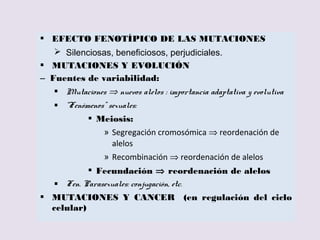 SUSTANCIAS
MUTAGÉNICAS
 