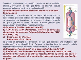 TEST DE REPASO
TEMA 8 Genética molecular
 