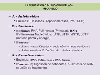 LA REPLICACIÓN O DUPLICACIÓN DEL ADN:LA REPLICACIÓN O DUPLICACIÓN DEL ADN:
MECANISMOMECANISMO
– 1.- Iniciación:
 Enzimas: (Helicasas, Topoisomerasas, Prot. SSB)
– 2.- Síntesis:
 Enzimas: RNA-Polimerasa (Primasa), DNA-
Polimerasa Nucleótidos: dATP, dTTP, dGTP, dCTP
(materia prima y energía)
 Proceso:
– Síntesis continua: Cebador + copia ADN ⇒ hebra conductora
– Síntesis discontinua: F. De Okazaki ⇒ hebra retardada
– 3.- Finalización:
 Enzimas: (DNA-Polimerasa , DNA-Ligasa )
 Proceso: a) Digestión de cebadores, b) síntesis de ADN,
c) unión de fragmentos
 