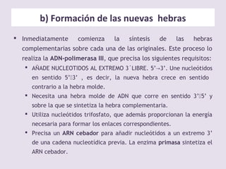 b) Formación de las nuevas hebras
 Inmediatamente comienza la síntesis de las hebras
complementarias sobre cada una de las originales. Este proceso lo
realiza la ADN-polimerasa III, que precisa los siguientes requisitos:
 AÑADE NUCLEOTIDOS AL EXTREMO 3´LIBRE. 5’ 3’→ . Une nucleótidos
en sentido 5’3’ , es decir, la nueva hebra crece en sentido
contrario a la hebra molde.
 Necesita una hebra molde de ADN que corre en sentido 3’5’ y
sobre la que se sintetiza la hebra complementaria.
 Utiliza nucleótidos trifosfato, que además proporcionan la energía
necesaria para formar los enlaces correspondientes.
 Precisa un ARN cebador para añadir nucleótidos a un extremo 3’
de una cadena nucleotídica previa. La enzima primasa sintetiza el
ARN cebador.
 