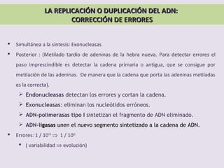 LA REPLICACIÓN O DUPLICACIÓN DEL ADN:LA REPLICACIÓN O DUPLICACIÓN DEL ADN:
CORRECCIÓN DE ERRORESCORRECCIÓN DE ERRORES
 Simultánea a la síntesis: Exonucleasas
 Posterior : (Metilado tardío de adeninas de la hebra nueva. Para detectar errores el
paso imprescindible es detectar la cadena primaria o antigua, que se consigue por
metilación de las adeninas. De manera que la cadena que porta las adeninas metiladas
es la correcta).
 Endonucleasas detectan los errores y cortan la cadena.
 Exonucleasas: eliminan los nucleótidos erróneos.
 ADN-polimerasas tipo I sintetizan el fragmento de ADN eliminado.
 ADN-ligasas unen el nuevo segmento sintetizado a la cadena de ADN.
 Errores: 1 / 107-8
⇒ 1 / 1010
 ( variabilidad ⇒ evolución)
 
