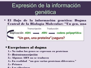  El flujo de la información genética: Dogma
Central de la Biología Molecular: “Un gen, una
proteína”
 Excepciones al dogma
1.- No todos los genes se expresan en proteínas
2.- Retrotranscripción
3.- Algunos ARN no se traducen
4.- En realidad “un gen varias proteínas diferentes.”
5.- Priones
Transcripción Traducción
Replicación: ADN ARN cadena polipeptídica
“Un gen, una proteína”¿seguro?
Expresión de la información
genética
 