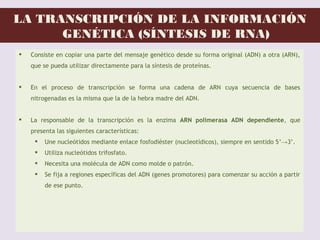 LA TRANSCRIPCIÓN DE LA INFORMACIÓN
GENÉTICA (SÍNTESIS DE RNA)
 