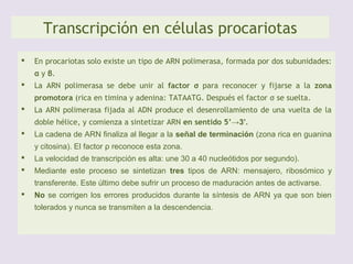 ORGANIZACIÓN DEL GENOMA EN PROCARIOTAS
Y EUCARIOTAS
CARACTERÍSTICAS DEL
MATERIAL GENÉTICO
– Procariotas: 100%
transcribible
– Eucariotas:
 DNA basura
(FUNCIONES
PARCIALMENTE
DESCONOCIDAS)
 DNA transcribible:
– Genes fragmentados:
Exones e Intrones
⇒ maduración de
 