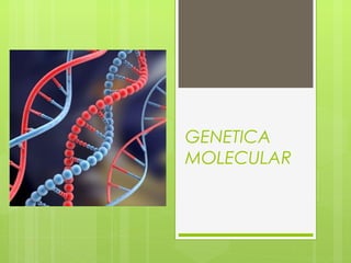 GENETICA
MOLECULAR
 