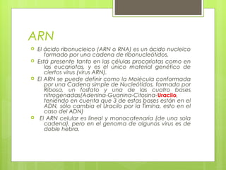 ARN
 El ácido ribonucleico (ARN o RNA) es un ácido nucleico
formado por una cadena de ribonucleótidos.
 Está presente tanto en las células procariotas como en
las eucariotas, y es el único material genético de
ciertos virus (virus ARN).
 El ARN se puede definir como la Molécula conformada
por una Cadena simple de Nucleótidos, formada por
Ribosa, un fosfato y una de las cuatro bases
nitrogenadas(Adenina-Guanina-Citosina-Uracilo,
teniendo en cuenta que 3 de estas bases están en el
ADN, sólo cambia el Uracilo por la Timina, esto en el
caso del ADN)
 El ARN celular es lineal y monocatenaria (de una sola
cadena), pero en el genoma de algunos virus es de
doble hebra.
 