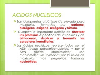 ACIDOS NUCLEICOS
 Son compuestos orgánicos de elevado peso
molecular, formados por carbono,
hidrógeno, oxígeno, nitrógeno y fósforo.
 Cumplen la importante función de sintetizar
las proteínas específicas de las células y de
almacenar, duplicar y transmitir los
caracteres hereditarios.
 Los ácidos nucleicos, representados por el
ADN (ácido desoxirribonucleico) y por el
ARN (ácido ribonucleico), son
macromoléculas formadas por la unión de
moléculas más pequeñas llamadas
nucleótidos.
 