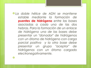  La doble hélice de ADN se mantiene
estable mediante la formación de
puentes de hidrógeno entre las bases
asociadas a cada una de las dos
hebras. Para la formación de un enlace
de hidrógeno una de las bases debe
presentar un "donador" de hidrógenos
con un átomo de hidrógeno con carga
parcial positiva y la otra base debe
presentar un grupo "aceptor" de
hidrógenos con un átomo cargado
electronegativamente.

 