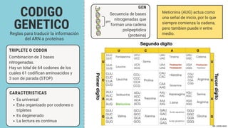 Genetica Molecular bioquímica y farmacia auxi | PDF
