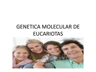 GENETICA MOLECULAR DE
EUCARIOTAS
 
