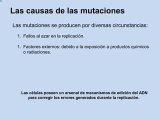 Las causas de las mutaciones
Las mutaciones se producen por diversas circunstancias:
1. Fallos al azar en la replicación.
1. Factores externos: debido a la exposición a productos químicos
o radiaciones.
Las células poseen un arsenal de mecanismos de edición del ADN
para corregir los errores generados durante la replicación.
 
