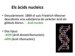 Genètica molecular 4t eso