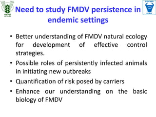 Need to study FMDV persistence in
endemic settings
• Better understanding of FMDV natural ecology
for development of effec...