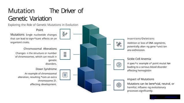 Genetic and Evolution Presentation (1).pptx | Genetics | Science