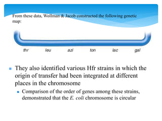 From these data, Wollman & Jacob constructed the following genetic
map:
 They also identified various Hfr strains in which the
origin of transfer had been integrated at different
places in the chromosome
 Comparison of the order of genes among these strains,
demonstrated that the E. coli chromosome is circular
 